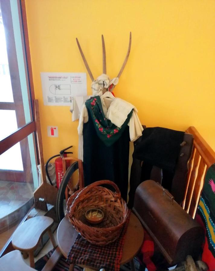 Guest House Misha Petrevene Dış mekan fotoğraf